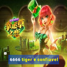 6666 tiger e confiavel